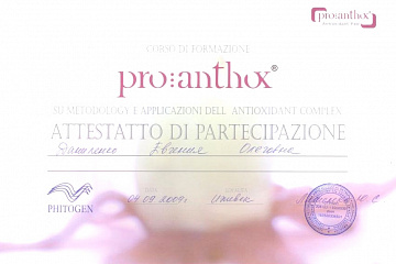 Сертификат курса Pro:Anthox Даниленко